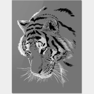 Tiger Posters and Art